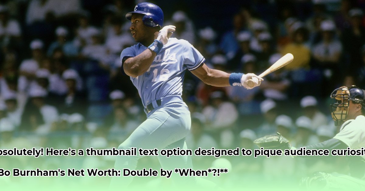 bo-burnham-net-worth